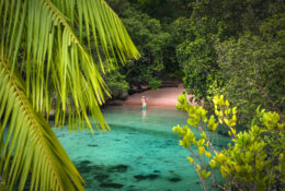 West Papua, Kaimana, Triton Bay 2026 (31/41)